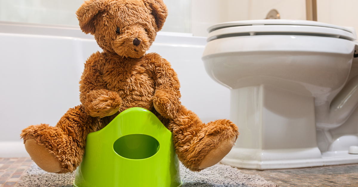 Potty Training Bear on training Seat